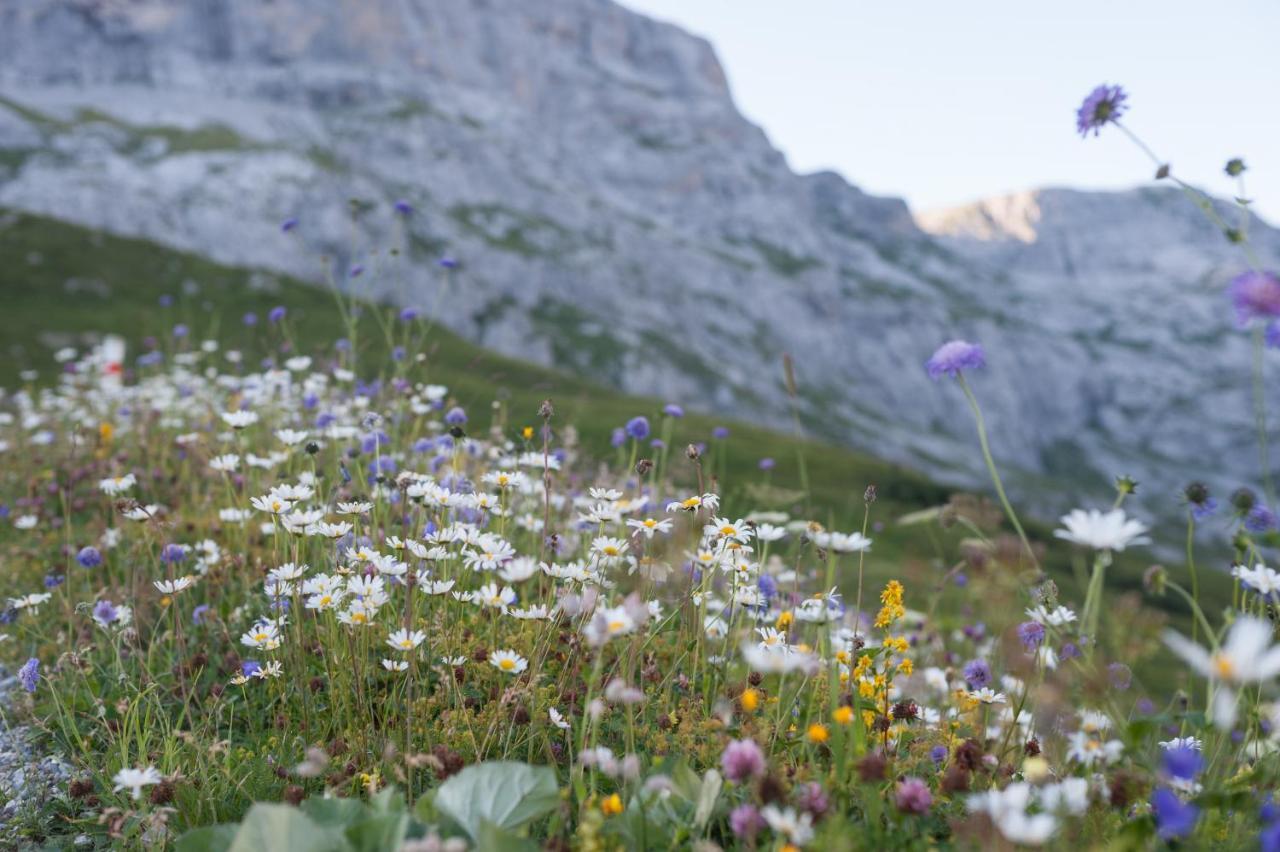 Berghaus Sulzfluh Hotel Saint Antonien Bagian luar foto